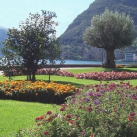 'Lugano, Switzerland